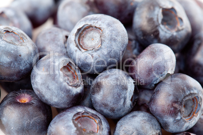 Fresh blueberries