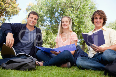 Low angle-shot of three smiling students working