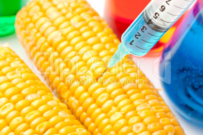 Syringe injecting liquid into corn