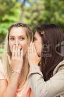 Close-up of female teenagers sharing a secret