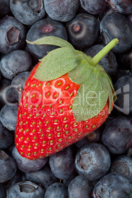 Strawberry in the middle of blueberries