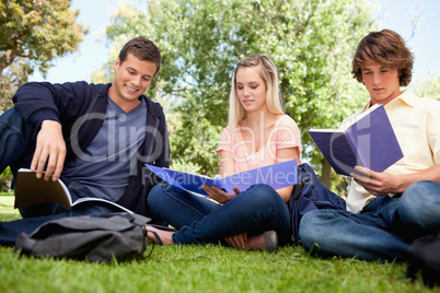 Low angle-shot of three students working