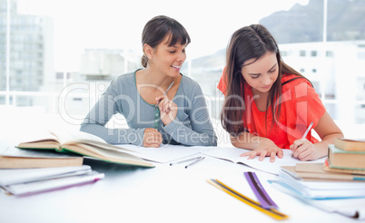 Two studying girls at home doing work