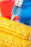 Corn with syringe