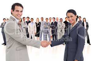 Business people shaking hands