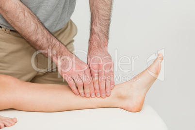 Doctor using his fingertips to massage a calf