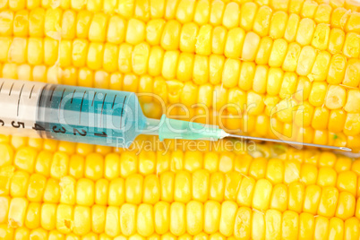 Blue liquid into syringe on corn