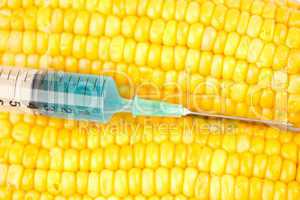Blue liquid into syringe on corn