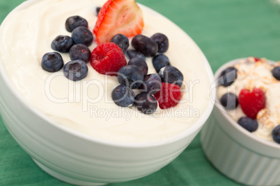 Bowl of cream of fruits