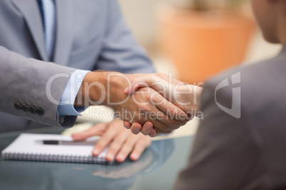 Two Businesspeople shaking hands