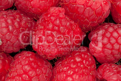 Heap of raspberry