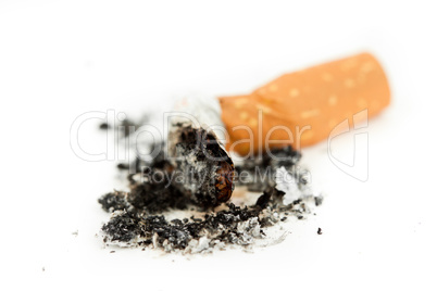 Close up of a cigarette put out