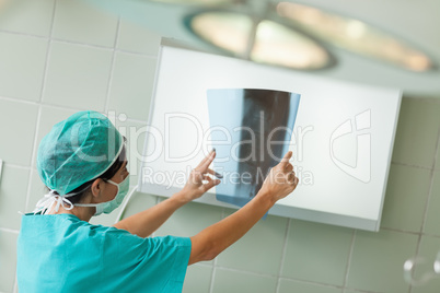 Surgeon looking at a radiography