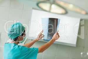 Surgeon looking at a radiography