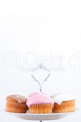 Small muffins with icing sugar