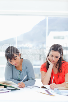 A pair of concentrating women doing homework together