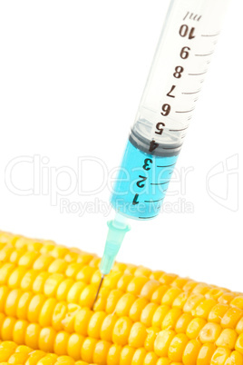 Syringe into corn