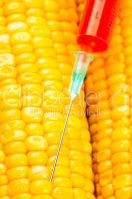 Syringe with red liquid on corn