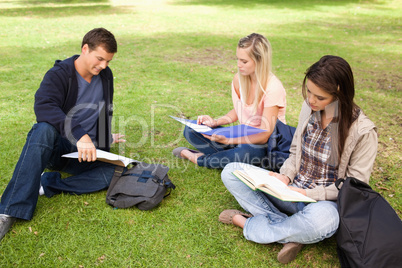 Three students studying together