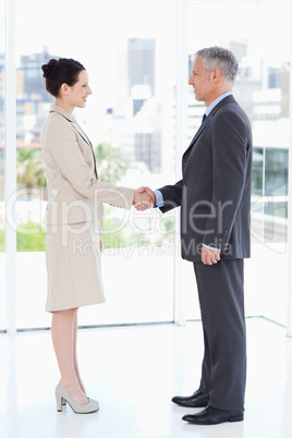 Business people warmly shaking hands while looking at each other