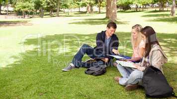 Tutoring in a sunny park