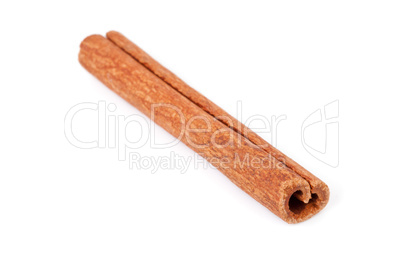 Single cinnamon stick