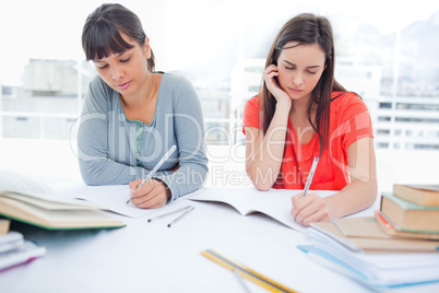 Two girls with hands on their chins studying together