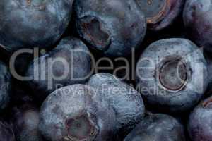 Heap of blueberry