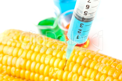 Syringe piercing corn