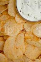 close up of a bowl of dip with herbs surrounded by chips