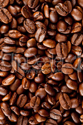 Close up of coffee seeds