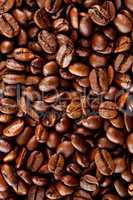Close up of coffee seeds