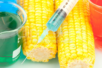 Syringe on corn