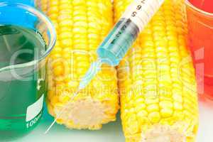 Syringe on corn