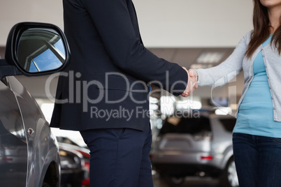 Salesman shaking hand of a woman