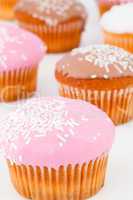 Close up of many muffins with icing sugar