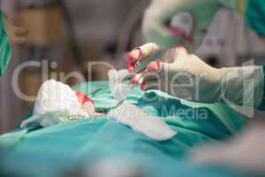 Surgeon using a surgical scissor