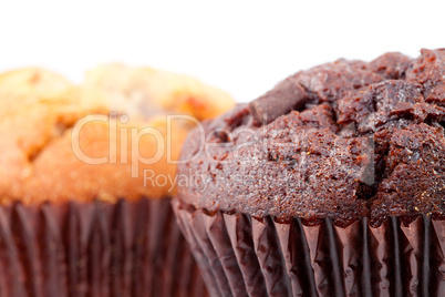 Close up of chocolate muffin and a regular muffin