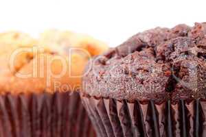 Close up of chocolate muffin and a regular muffin