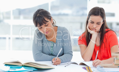 Two students doing homework together