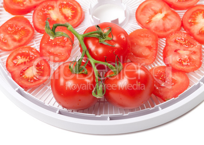 Fresh tomato on food dehydrator tray