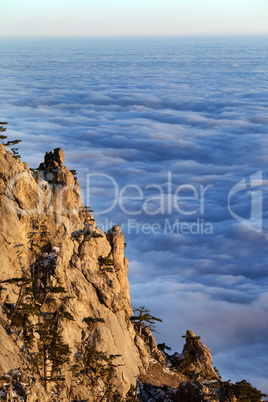 Sunlit cliffs and sea in clouds