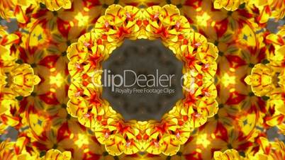 color lotus flower pattern wedding background,gorgeous orient religion fancy,fractal,structure.