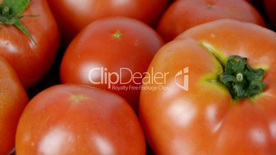 A set of fresh tomato fruit.