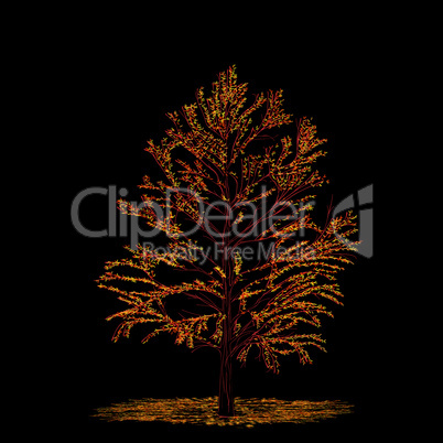 Autumn tree card