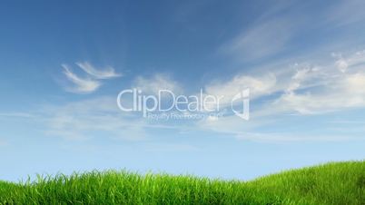 meadow and sky background