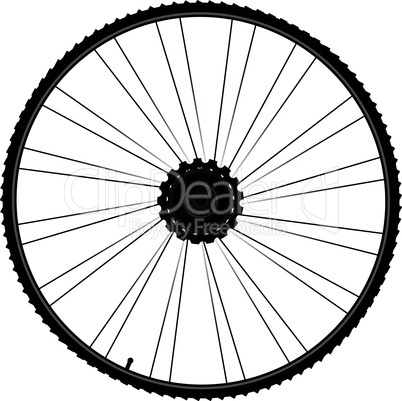black bike wheel with tire and spokes isolated on white background