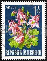 Postage stamp Austria 1966 Columbine, Alpine Flower