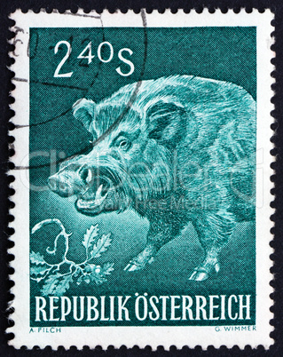 Postage stamp Austria 1959 Wild Boar, Sus Scrofa