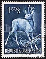 Postage stamp Austria 1959 Roe Deer, Capreolus Capreolus